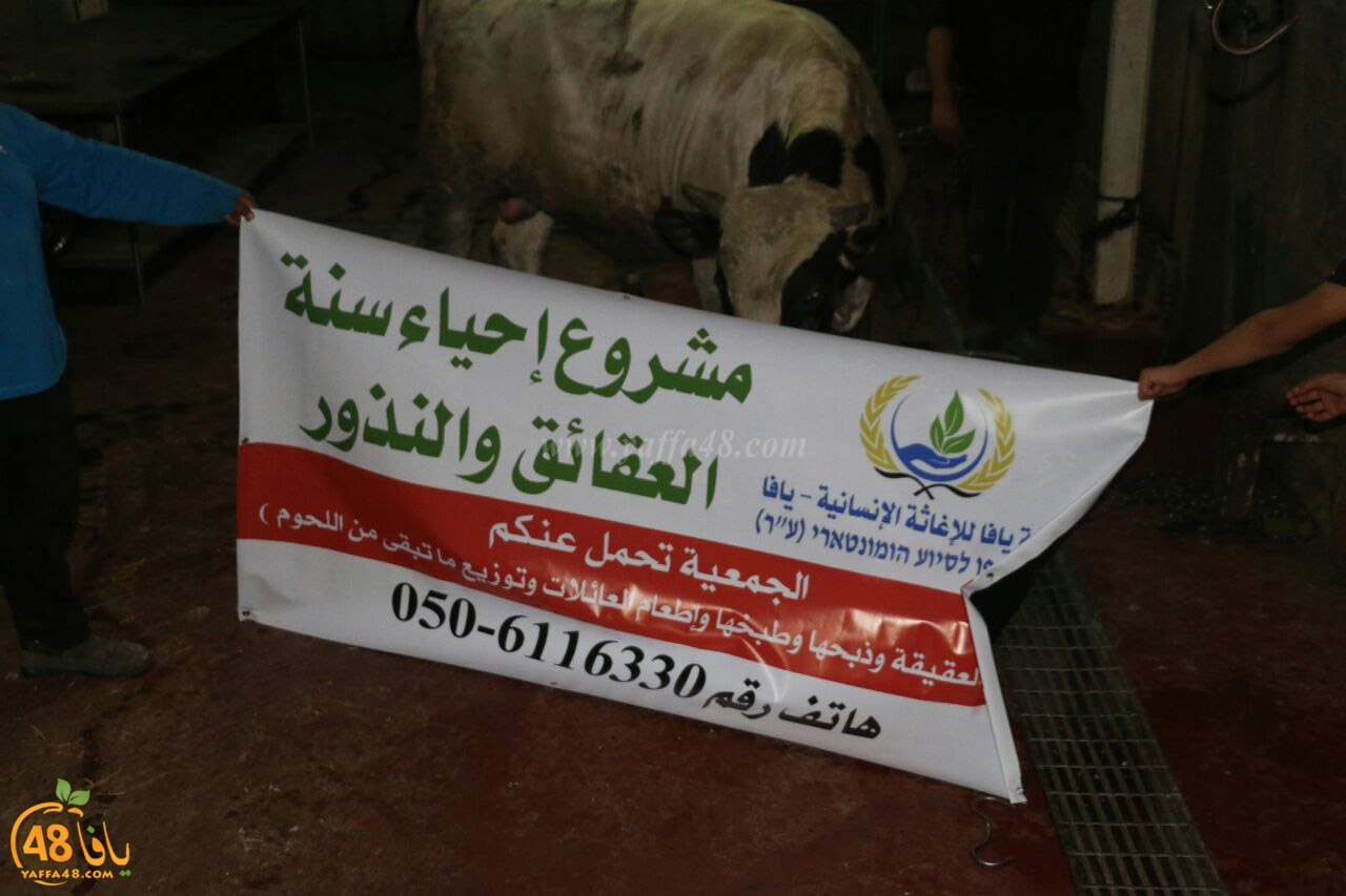 mashro3 ada7yau (7).jpg